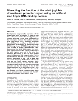 Dissecting the function of the adult &beta;