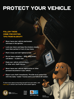 Auto Theft Prevention Poster