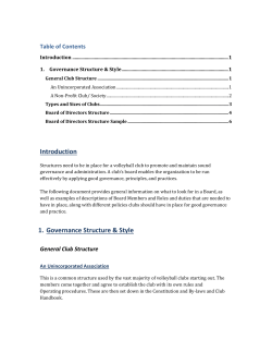 Board of Directors Structure Sample