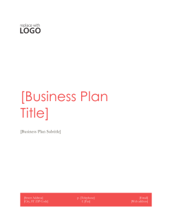 Business Plan Template