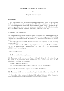 ADJOINT SYSTEMS ON SURFACES by Margarida Mendes Lopes