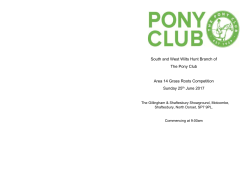 Area Grass Roots Competition 2017