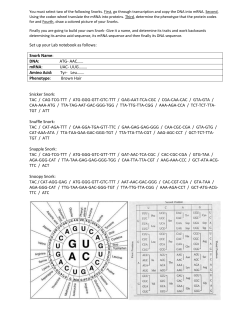 Snorks Lab - Honors Biology Overview