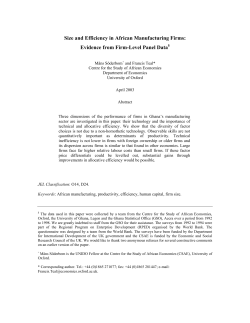 Size and Efficiency in African Manufacturing Firms