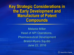 Key Strategic Considerations in the Early
