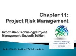 Project Risk Management