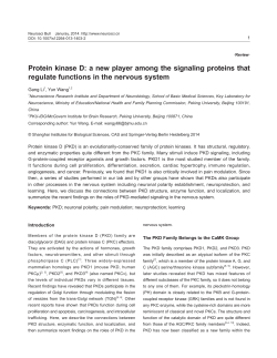 Protein kinase D: a new player among the signaling proteins that