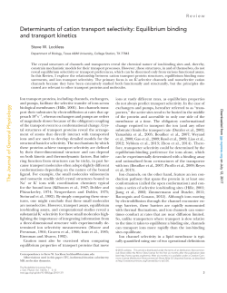 Determinants of cation transport selectivity: Equilibrium binding and