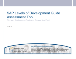 SAP Levels of Development Guide Assessment Tool