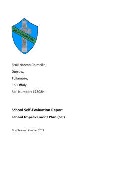 8.0 School Literacy and Numeracy Plan