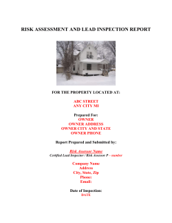 risk assessment and lead inspection report