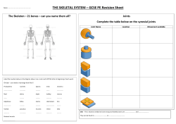 THE SKELETAL SYSTEM &ndash; GCSE PE Revision Sheet Joints