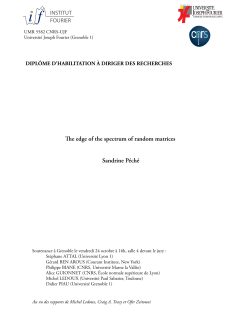Sandrine P&eacute;ch&eacute; e edge of the spectrum of random matrices