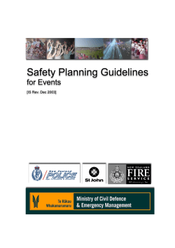 Safety Planning Guidelines for Event