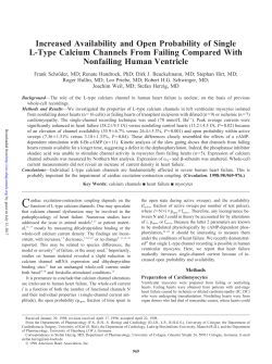 Increased Availability and Open Probability of Single L
