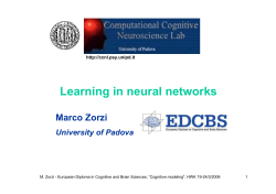 Learning in Neural Networks - User Web Areas at the University of