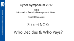 Panelist Olav Lysne - Center for Cyber and Information Security