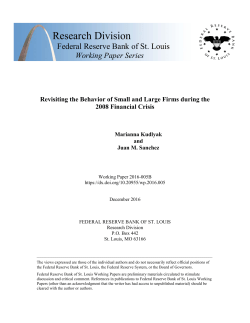 Revisiting the Behavior of Small and Large Firms during the 2008