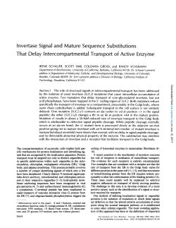 Invertase Signal and Mature Sequence Substitutions That Delay