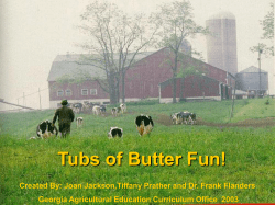 Butter Making Activity From Raw Milk