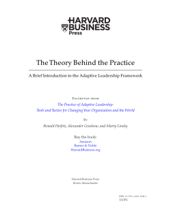 The Theory Behind the Practice - Cambridge Leadership Associates