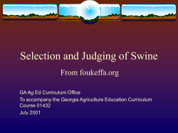 Selection and Judging of Swine