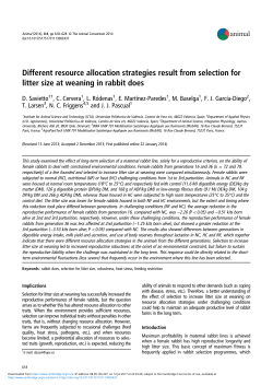 Different resource allocation strategies result from selection for litter