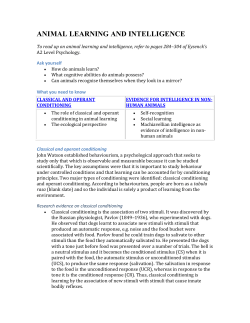 animal learning and intelligence