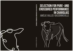 Selection for pure-and crossbred performance in Charolais