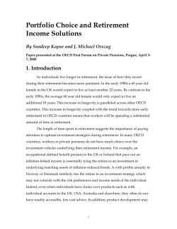 Portfolio Choice and Retirement Income Solutions