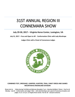 31st Annual Region III Connemara Show