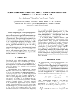 BIOLOGICALLY INSPIRED ARTIFICIAL NEURAL