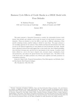 Business Cycle Effects of Credit Shocks in a DSGE Model with Firm