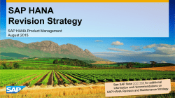 SAP HANA Revision Strategy