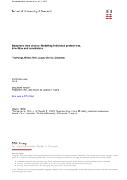 Departure time choice: Modelling individual preferences