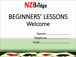 Lesson 1 - NZ Bridge