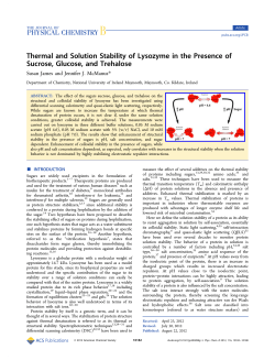 Thermal and Solution Stability of Lysozyme in the Presence of