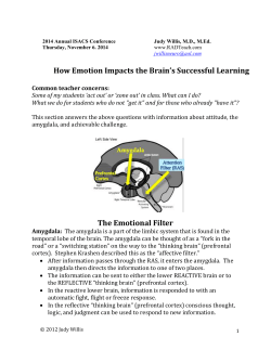 (prefrontal cortex) or to the reactive lower brain?