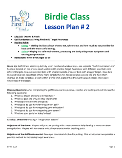 Birdie Class Lesson Plan # 2