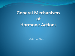 Congenital adrenal hyperplasia syndrome and testicular