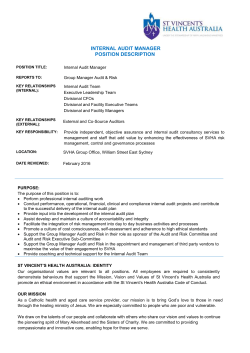 internal audit manager position description
