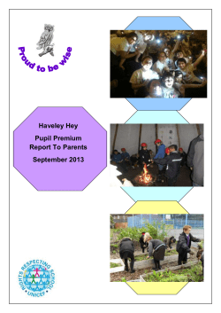 An example of a possible format for writing the pupil premium report