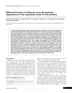 Efficient formation of influenza virus-like particles