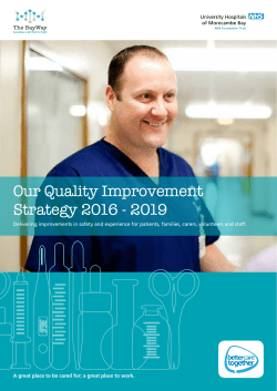 Our Quality Improvement Strategy 2016 - 2019