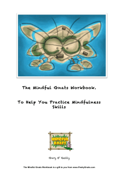 The Mindful Gnats Workbook. To Help You Practice Mindfulness Skills