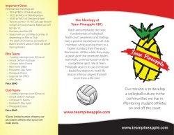 Team Pineapple 2017 brochure