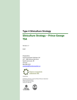 Type IV Silviculture Strategy - Province of British Columbia
