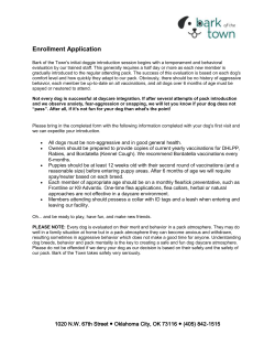 Ready to Enroll? Print and fill out Enrollment Form here!
