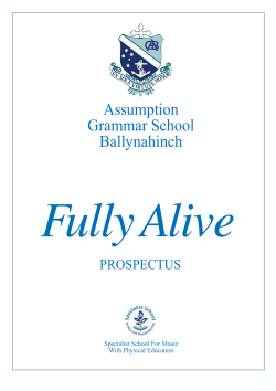 Assumption Grammar School Ballynahinch
