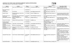 AGENCIES THAT OFFER COURT APPOINTED/COMMUNITY